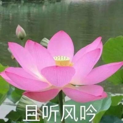 北京丰台：老小区水管27年未更换 留言后协调解决